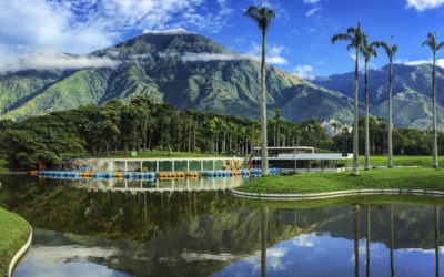 Cinco años, un Ávila por día