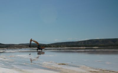Araya contra la nada