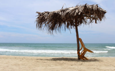 Vuelta a la vida en Vargas