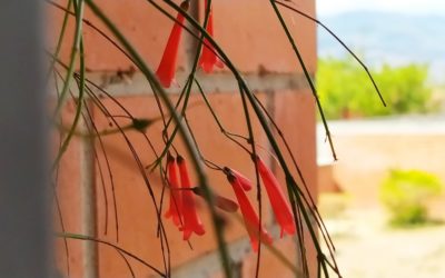 Bendiciones para este encierro