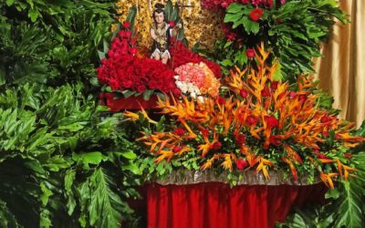 San Juan sin miedo al virus