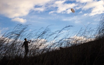 Los papagayos de El Morro