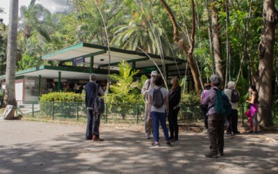 Caminatas que germinan