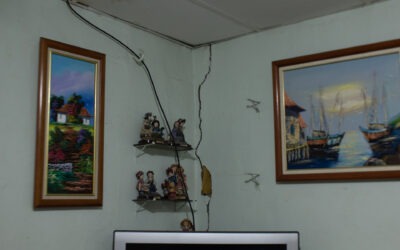 La vida entre las grietas