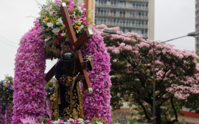 El regreso de las orquídeas santas